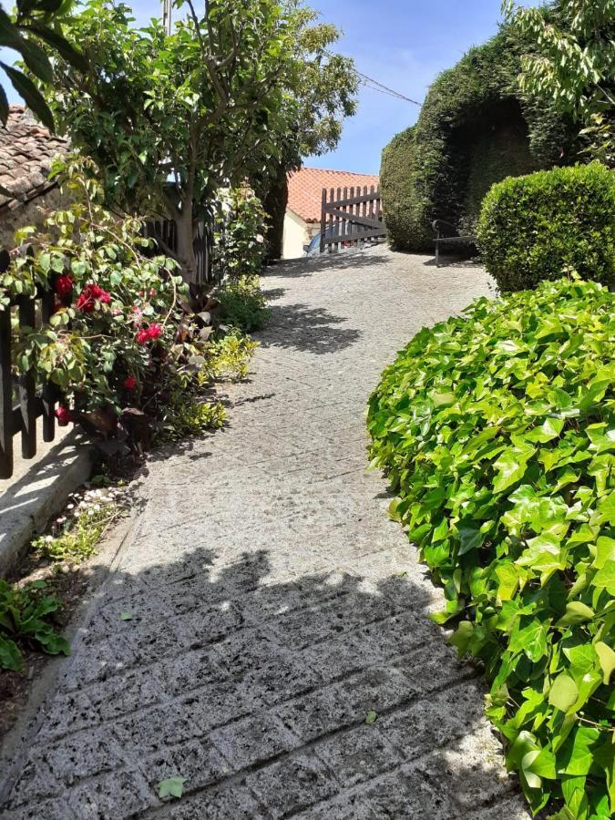La Casina De Santulaya Villa Cangas De Narcea Dış mekan fotoğraf